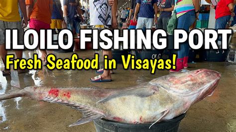 BIGGEST SEAFOOD MARKET In ILOILO Iloilo Fishing Port Complex Fresh