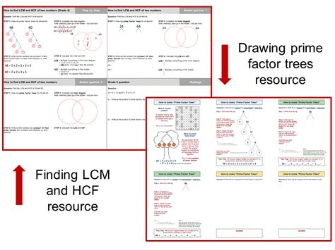 Prime Factor Trees And Finding Lcm And Hcf Using Them A How To Guide With Questions And