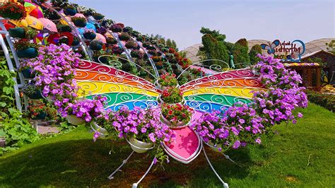 Reasons Why You Should Visit Butterfly Garden Dubai Adventures Hub