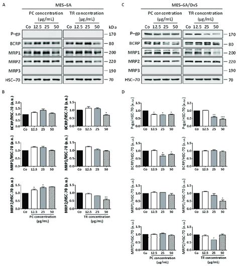 Differential Expression Of ABC Transporters In MES SA And MES SA Dx5 To