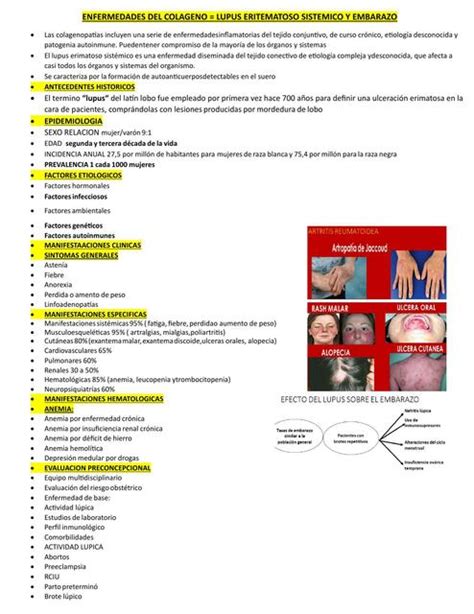 Enfermedades Del Colageno Lupus Ginecologia Ii Do Parcial Dr Iriarte