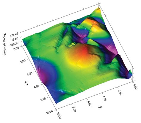 High Resolution In Situ Spm Imaging Bruker