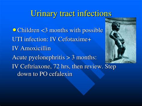 Ppt Principles Of Antibiotic Therapy In Paediatrics Powerpoint