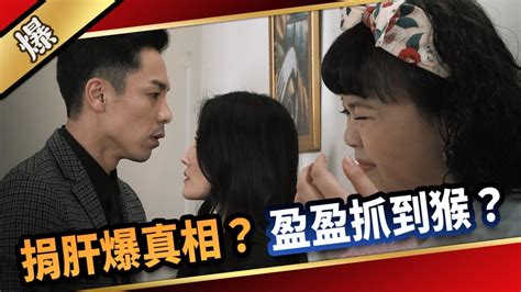 《愛的榮耀 Ep102精采片段》捐肝爆真相？ 盈盈抓到猴？｜四季線上4gtv