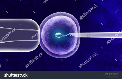 Insemina imágenes fotos de stock y vectores Shutterstock