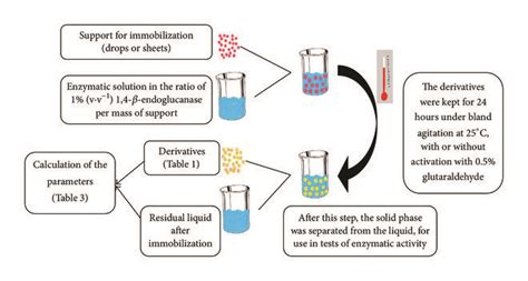 Flowchart Of The Enzyme Immobilization Process Download Scientific