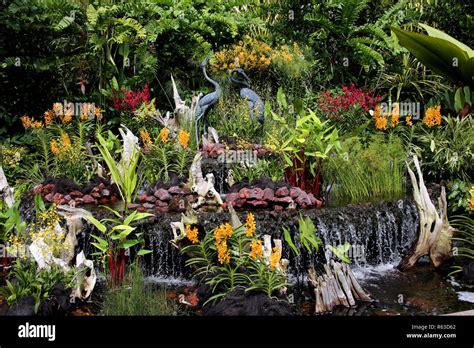 national orchid garden singapore Stock Photo - Alamy