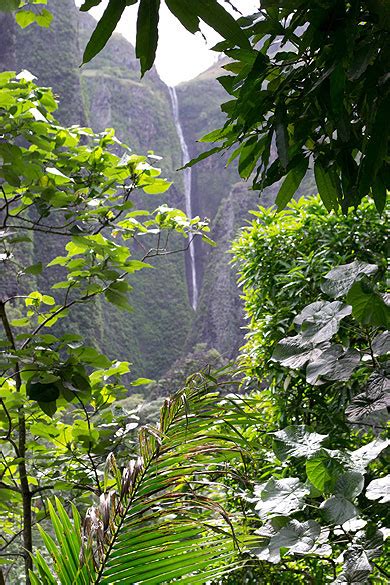 La cascade d Hakaui Cascades Fleuve Nuku Hiva Îles Marquises