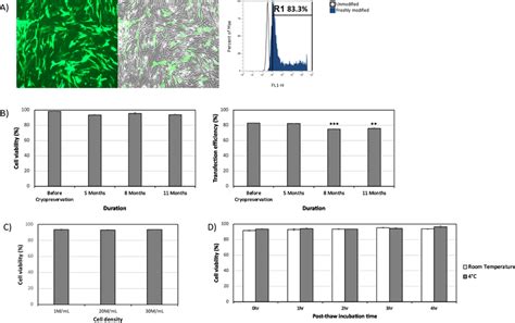 Cryopreservation And Storage Stability Of Msc Overexpressing