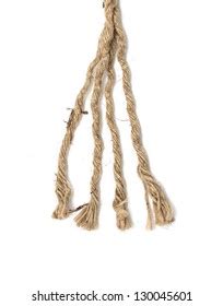 Dried Ginseng On White Background Stock Photo 182717312 Shutterstock