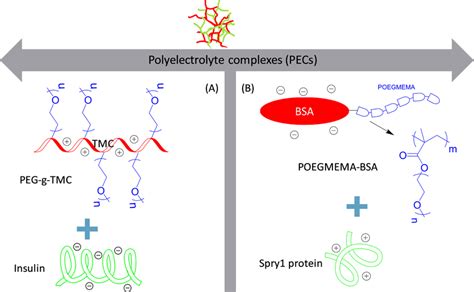 Schematic Structure And Examples Of Polyelectrolyte Complexes Pecs Download Scientific