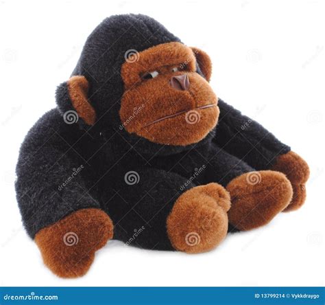 Isolated Gorilla Stuffed Animal Stock Images - Image: 13799214