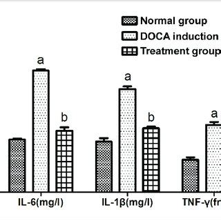 Content of the inflammatory factors The levels of TNF γ IL 6 and