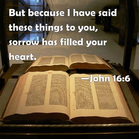 John 16:6 But because I have said these things to you, sorrow has ...