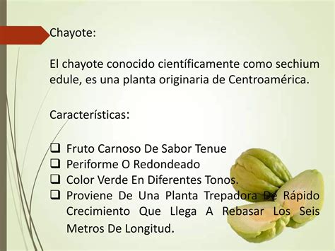 Almidones Modificados Del Chayote Eei Ppt Descarga Gratuita