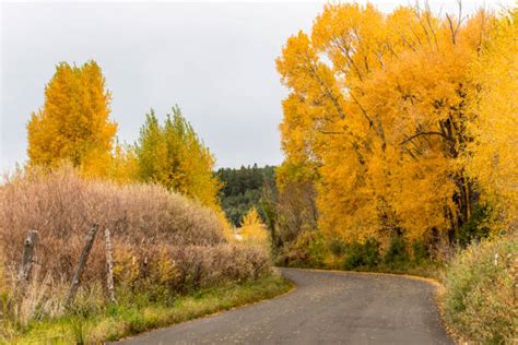 New Mexico Fall Foliage Stock Photos Pictures And Royalty Free Images