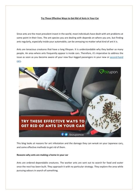 Ppt Try These Effective Ways To Get Rid Of Ants In Your Car Bizupon 8190263890 Powerpoint