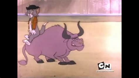 Tom And Jerry Show The Bull Fighters Youtube