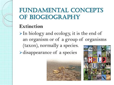 Ppt Biogeography Powerpoint Presentation Free Download Id2195371