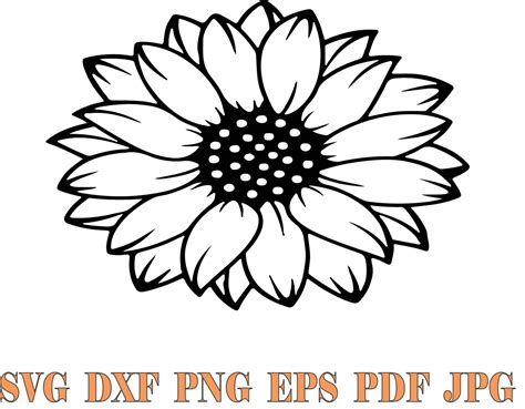 Daisy Svg Flower Svg Spring Flower Floral Svg Daisy Dxf Png