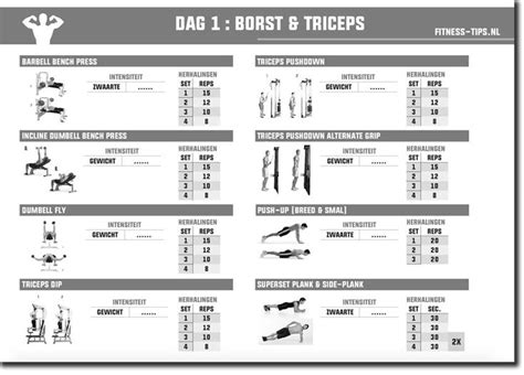 Download Gratis Je Eigen Fitnessschema Fitnl Gym Plan Workout