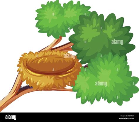 Bird Nest On The Branch Illustration Stock Vector Image Art Alamy