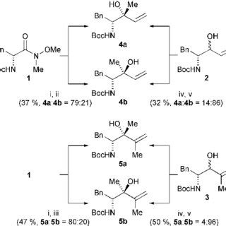 Scheme 2 Reagents I MeMgCl THF Ii CH 2 CHMgCl CeCl 3 THF Iii