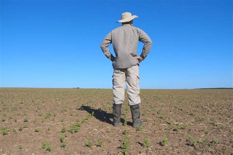 Calano Le Aziende Agricole Per Effetto Della Guerra E Dei Cambiamenti