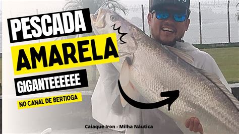 Brutalidade Dessa Pescada Amarela Gigante No Caiaque Iron Da Milha