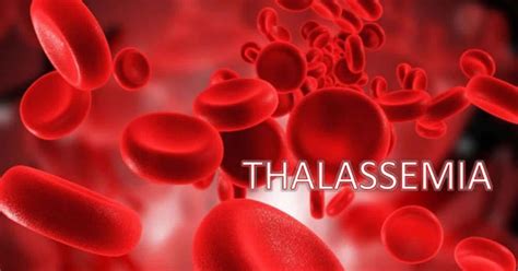 Thalassemia Is A Genetic Disease Better Health Online Blog