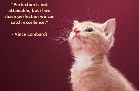 14 Deeply Inspirational Cat Posters to Hang In Your Dorm Room