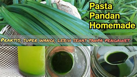 Cara Membuat Ekstrak Daun Pandan Youtube