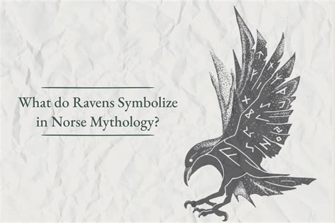 What Do Ravens Symbolize In Norse Mythology Viking Style