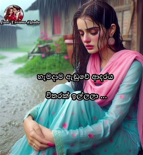 හැමදාම ආදරෙයි ️ ️love Adarawadan Lovedreamsmadu Youtube