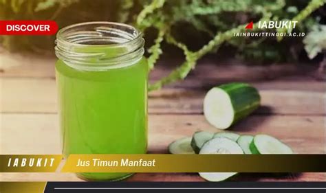 Temukan 7 Manfaat Jus Timun Yang Wajib Kamu Ketahui Discover