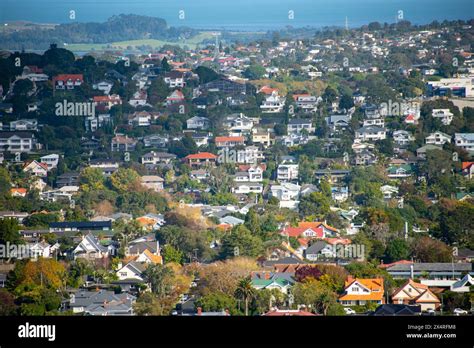 residential houses  auckland  zealand stock photo alamy
