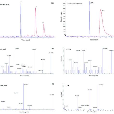 Extracted Ion Chromatograms And The Corresponding Msms Mass Spectra Of