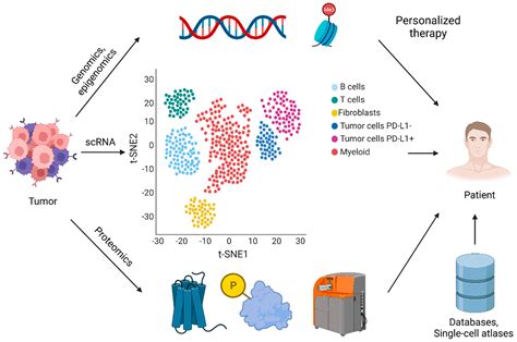 Single Cell Sequencing Current Applications In Precision Onco Genomics