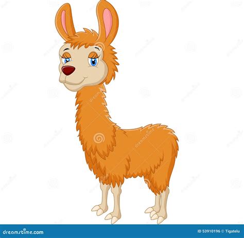 Cartoon Cute Llama Stock Vector Image 53910196