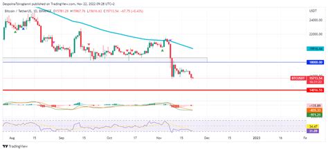 Bitcoin Price Analysis For November Latest News And Insights