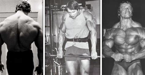 Power Shrug Exercise Form Guide With Video And Pictures