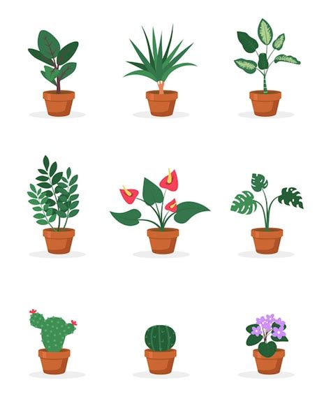 Plantas De Interior En Macetas Vector Premium