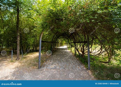 Scenic View Of The Arch Walkway In A Green Park And Garden With Lush