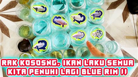 IKAN PADA HABIS LAKU SEMUA RAK KOSONG KITA PENUHI LAGI BETTAFISH