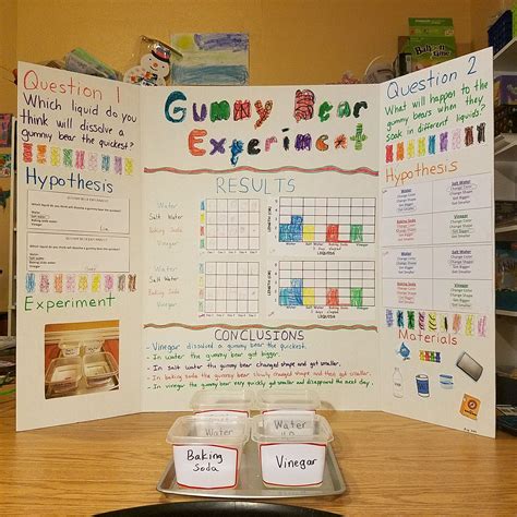 2nd Grade Science Project Ideas Examples And Forms
