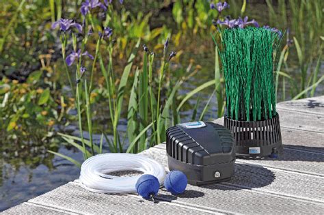 Какой компрессор для пруда будет лучше и что еще понадобится рыбе