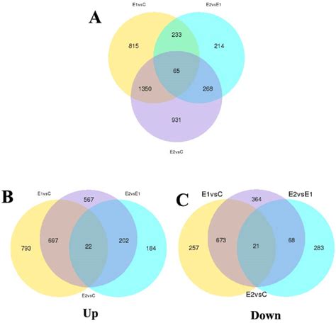 Venn Diagram For The Analysis Of The Number Of Differentially Expressed