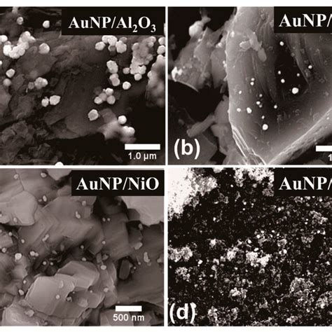 Sem Images From Gold Nanoparticles Aunps Supported Onto Various Download Scientific Diagram