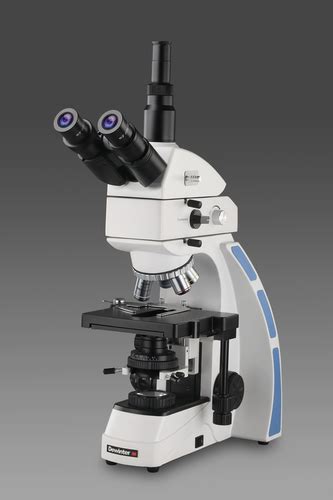 Fluorescence Microscope Application For Lab At Best Price In New Delhi