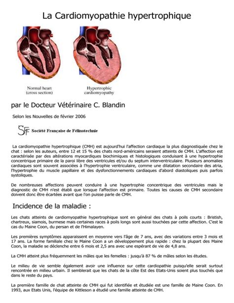 La Cardiomyopathie Hypertrophique